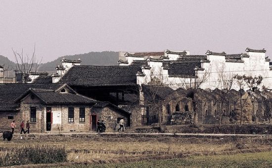 東浦合心村的最新消息，繁榮與發展中的鄉村新面貌