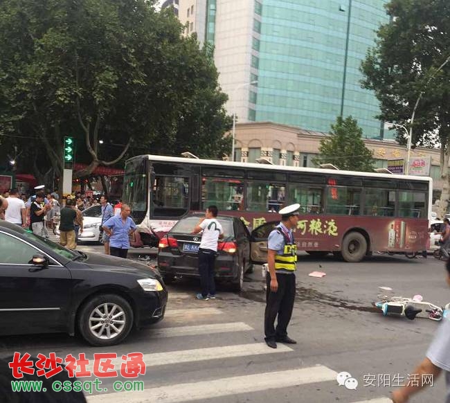 安陽市車禍最新消息及其影響