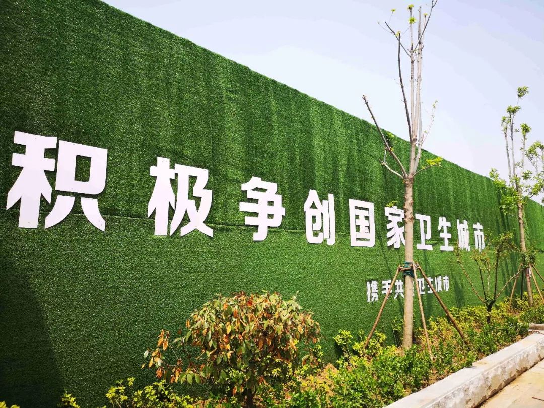 聊城煙店環保最新消息，邁向綠色可持續發展的堅定步伐