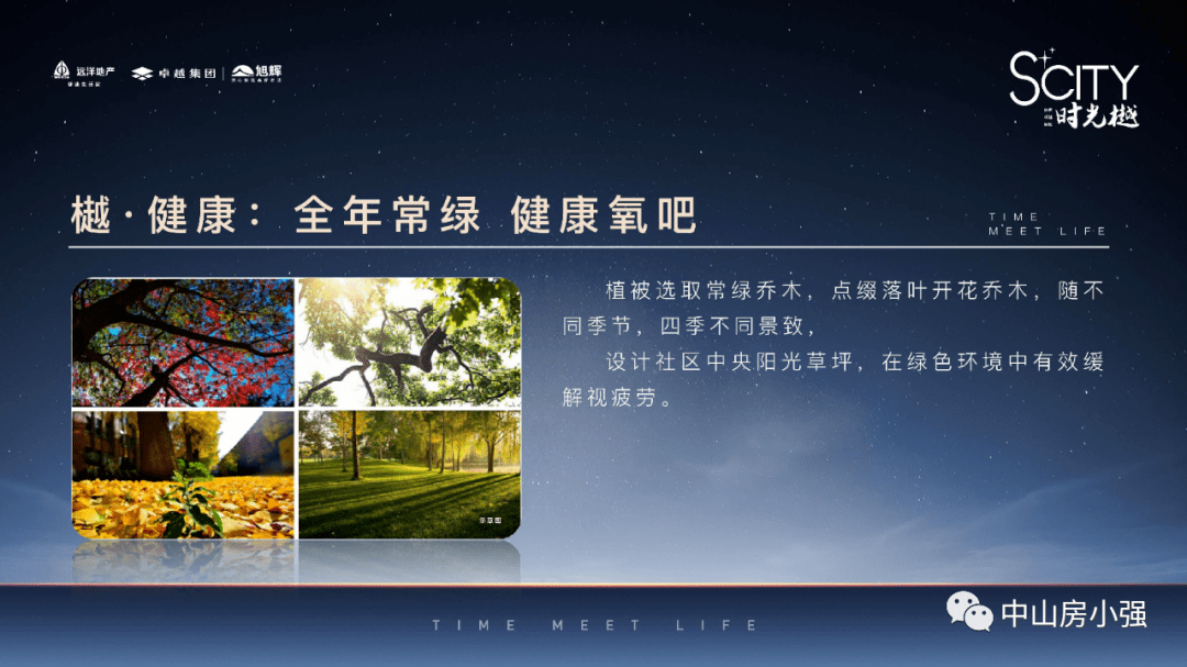 容元太華最新消息全面解析