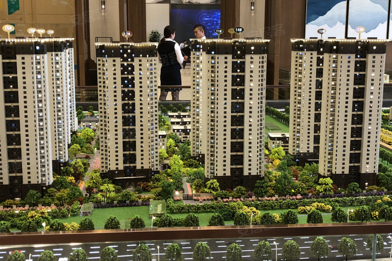 新街郡望府最新房價動態及市場解析