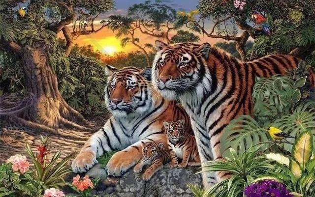 寧波老虎咬人事件最新進展深度解析