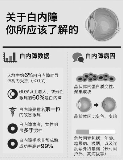 一肖一碼，精準資料的最新答案與落實解釋