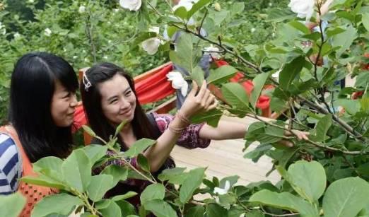 新奧集團(tuán)邁向未來(lái)，最新資料解析與行動(dòng)落實(shí)策略