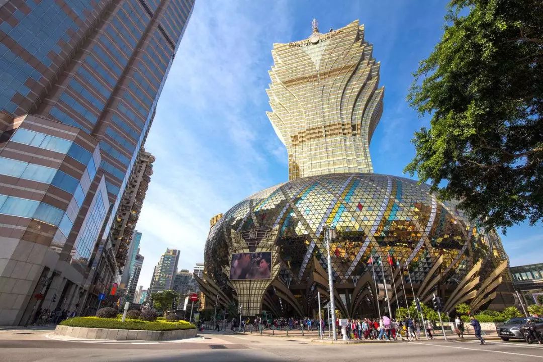 澳門最精準正最精準龍門，最新答案解釋與落實