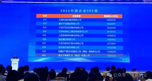 揭秘新奧集團(tuán)，2024年全年資料分析與最新答案解釋的落實(shí)策略