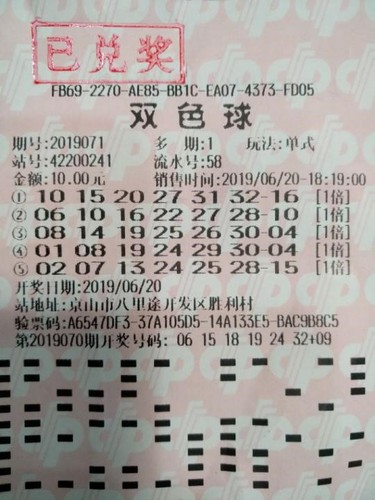 揭秘澳門生肖彩票背后的秘密，如何理解今晚生肖開獎的最新答案與落實真相