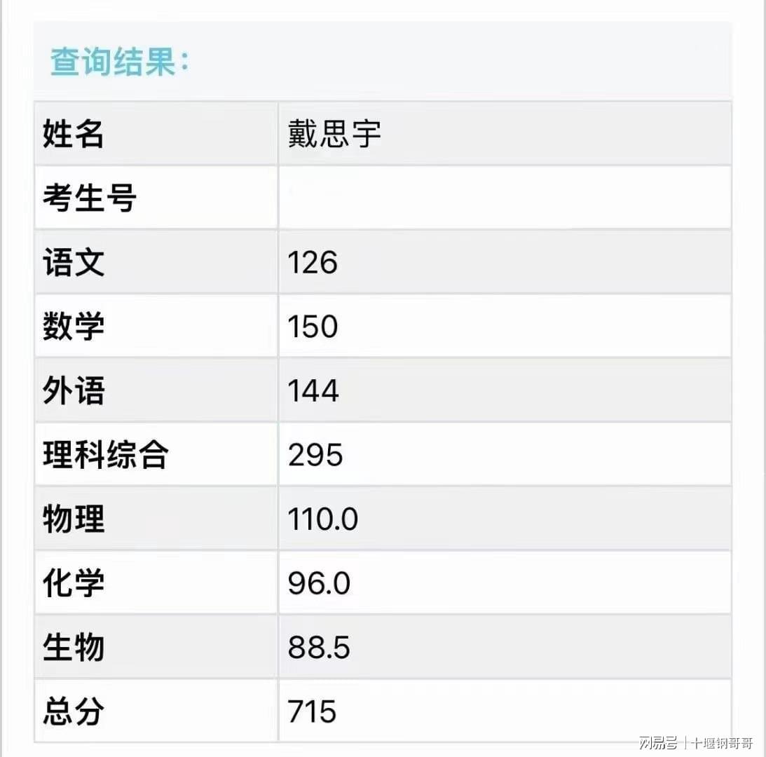 揭秘香港未來，探索2024年香港全年免費資料與最新答案解釋的落實之路