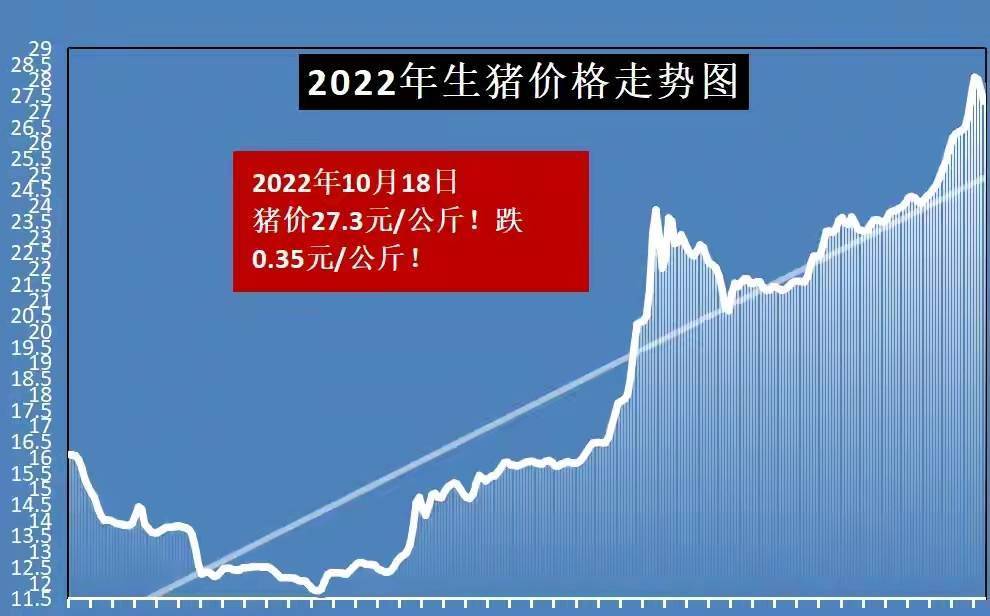 沂水今日豬價最新消息，市場走勢與影響因素分析