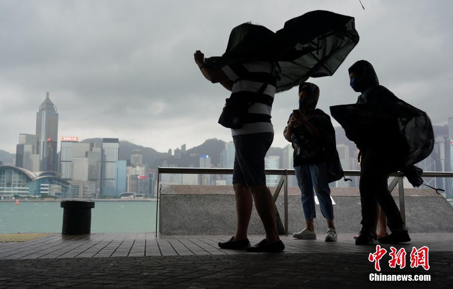 香港遭遇八號臺風，最新消息與應對措施