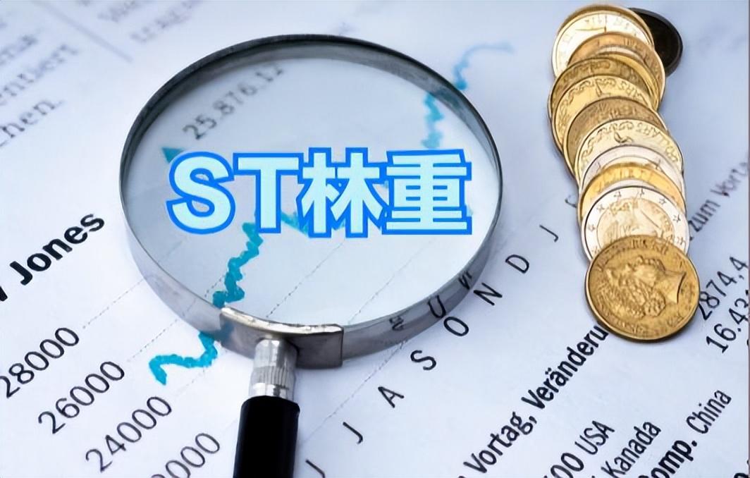林州重機增發最新消息，轉型戰略引領企業騰飛