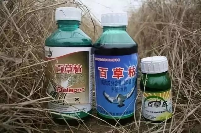 最新百草枯膠劑價格動態分析