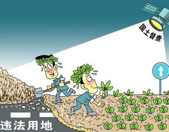 王思若欣 第4頁