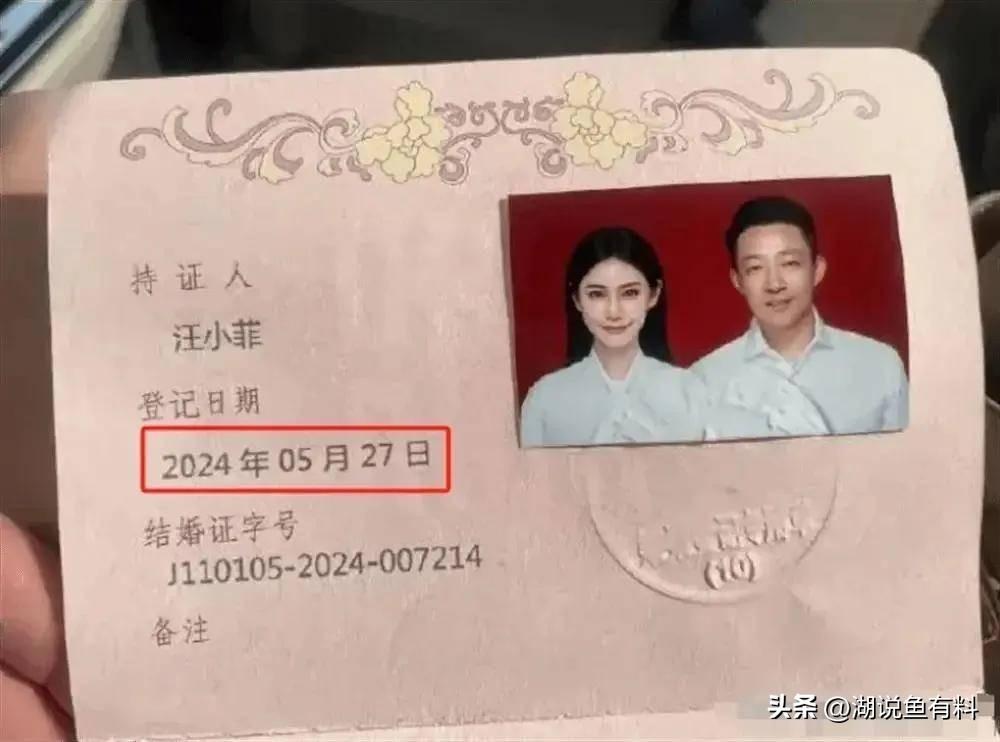 閃婚愛妻小說最新章節，命運的邂逅與愛情的急速綻放