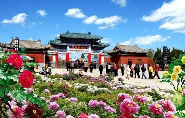 菏澤牡丹區(qū)最新消息，繁榮與發(fā)展并進的牡丹之都