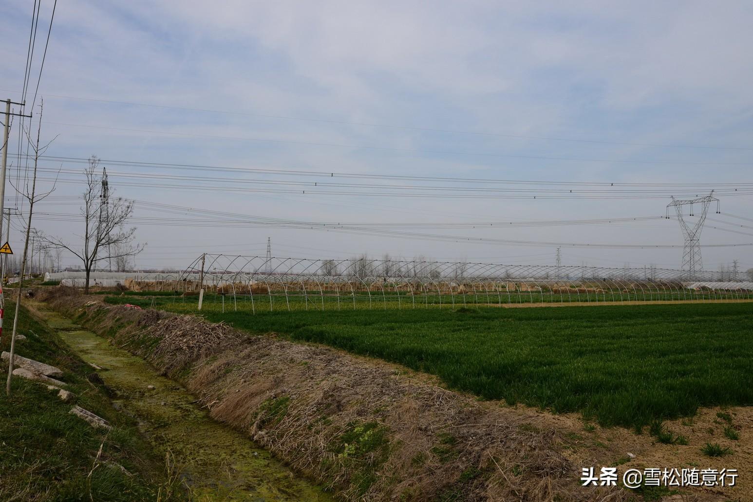 徐州棠張規劃最新消息，城市發展的藍圖與未來展望