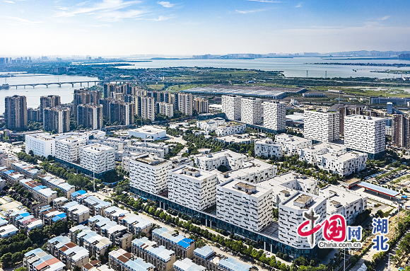 成都西河鎮(zhèn)最新消息，蓬勃發(fā)展中的新篇章