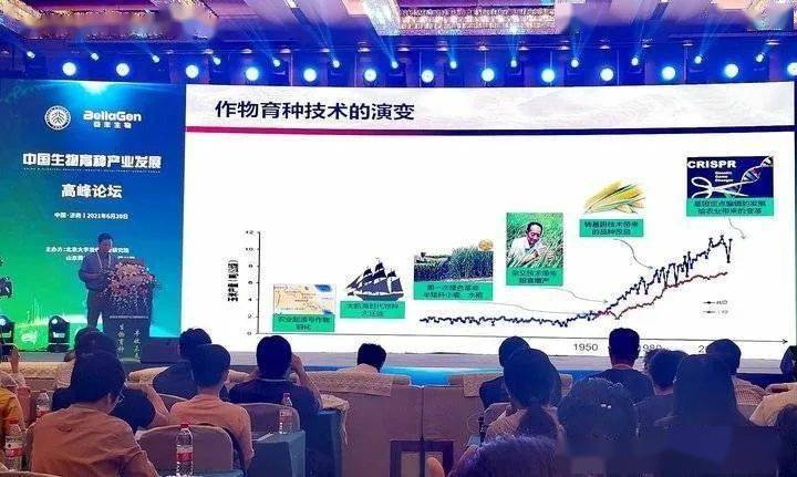 我的鋼鐵網手機版最新應用體驗與評測