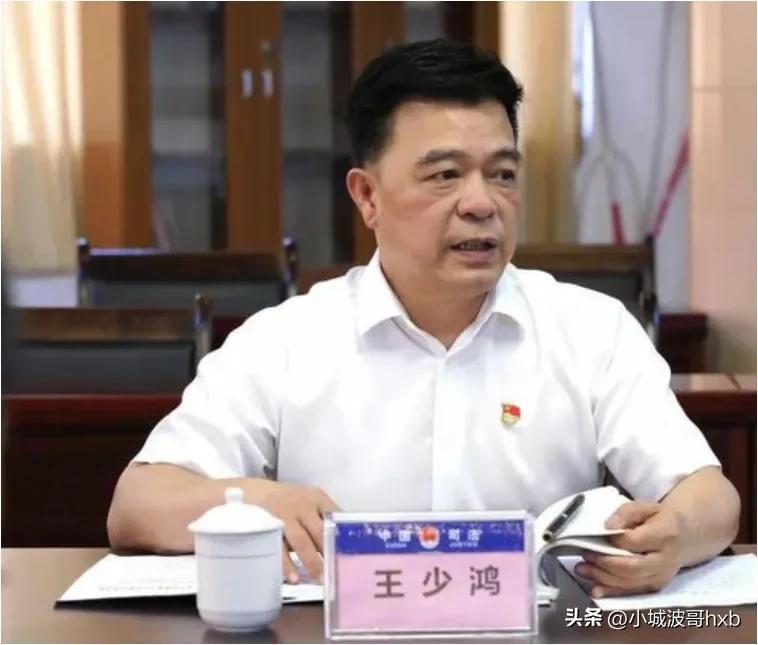 揭陽王少鴻最新消息，一位風(fēng)云人物的崛起與影響
