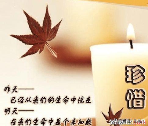 下輩子再愛你最新章節，永恒的誓言與無盡的等待
