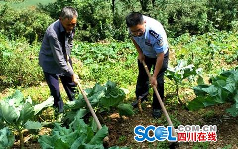 旺蒼縣天星鄉最新動態，蓬勃發展中的鄉村新面貌
