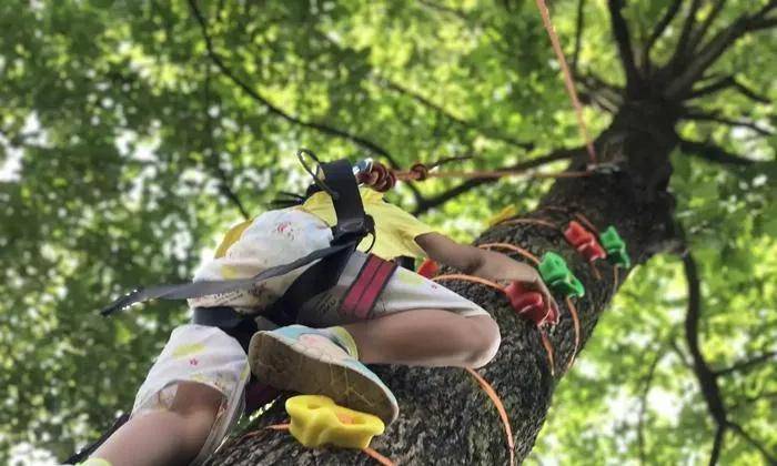 少年阿賓最新章節(jié)全文閱讀，成長之路的冒險與挑戰(zhàn)