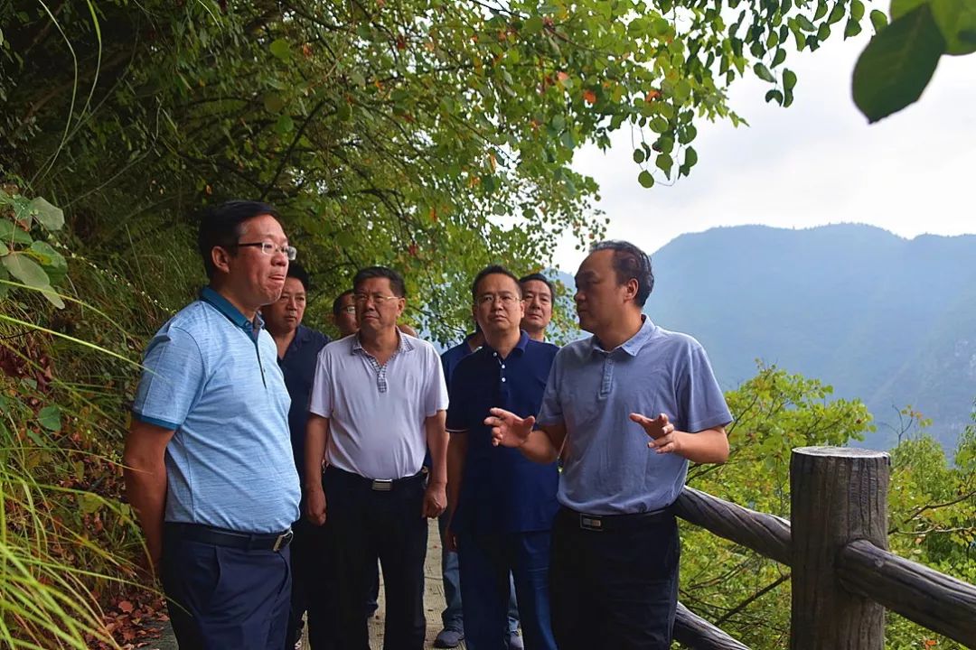 張凱若軒 第3頁