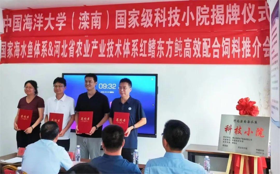 灤南人才網最新招聘動態(tài)，打造人才高地，引領未來產業(yè)發(fā)展