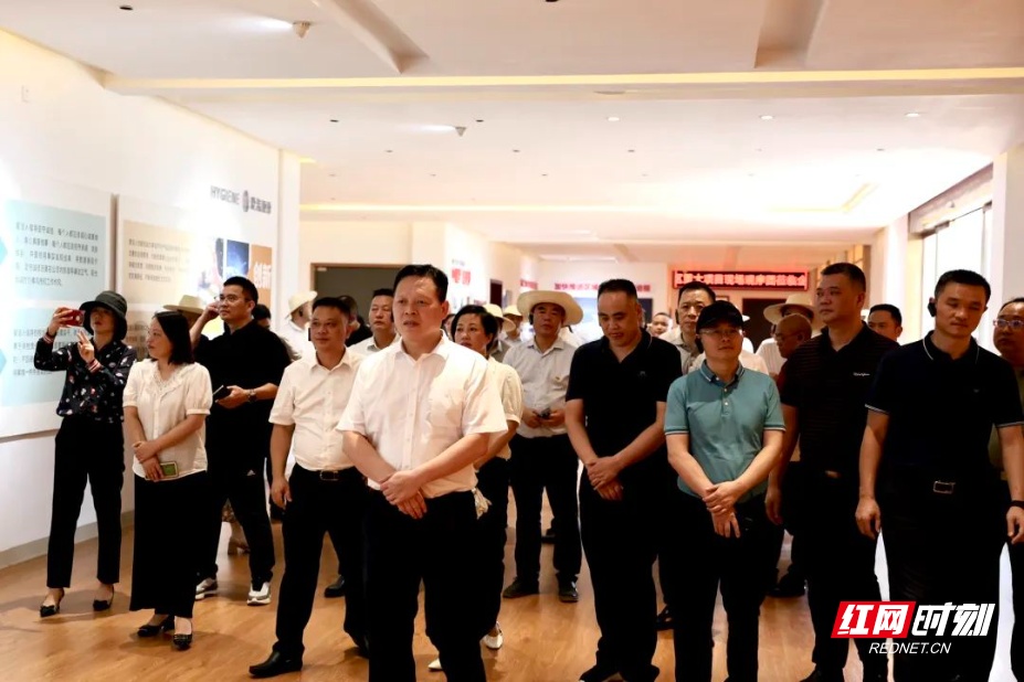 衡陽市石鼓區(qū)最新領(lǐng)導(dǎo)團(tuán)隊，引領(lǐng)地區(qū)發(fā)展的核心力量