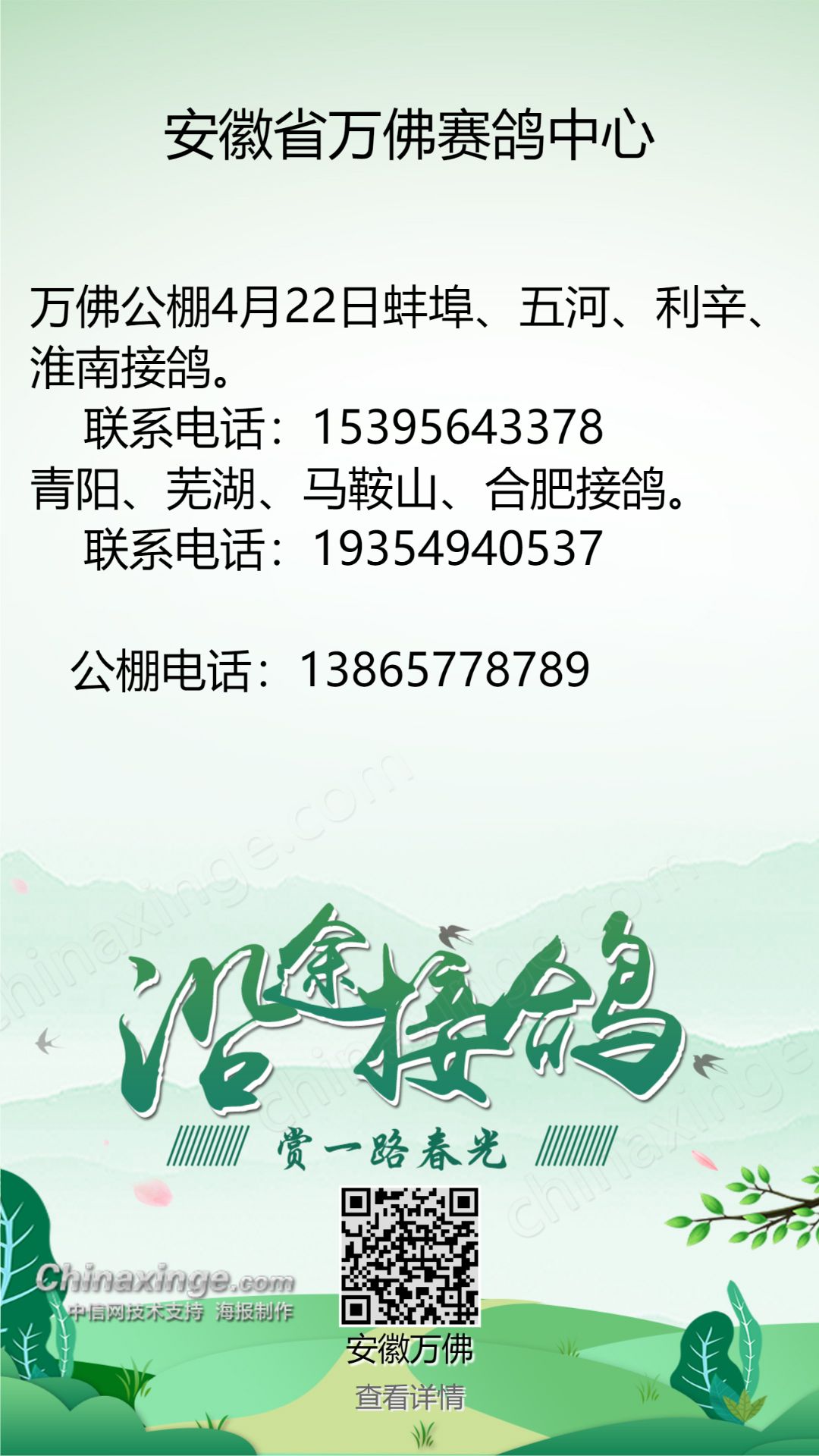 河北萬佳公棚最新公告，揭開未來發展的新篇章