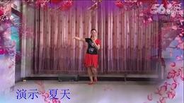 磁縣南豆公最新消息，發(fā)展動態(tài)與未來展望