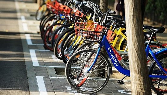 酷騎共享單車最新消息，引領城市出行新潮流