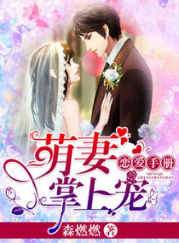 唐心洛陸煜宸小說最新，命運交織的愛情篇章
