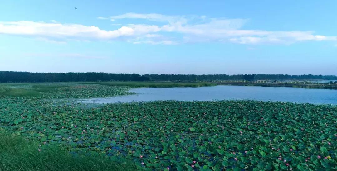 鄒城市太平鎮(zhèn)最新規(guī)劃，塑造未來城鎮(zhèn)新典范