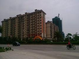 肇慶帝景名筑最新樓價，市場走勢與購房指南
