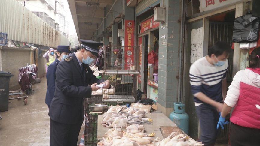 廣州活禽市場最新消息，動態與趨勢分析