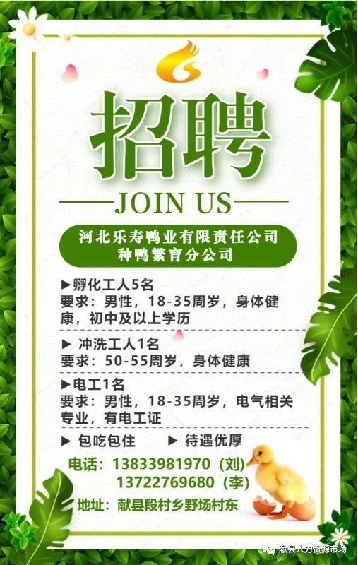 英么德最新招聘啟事，小蟲網(wǎng)人才招募之旅